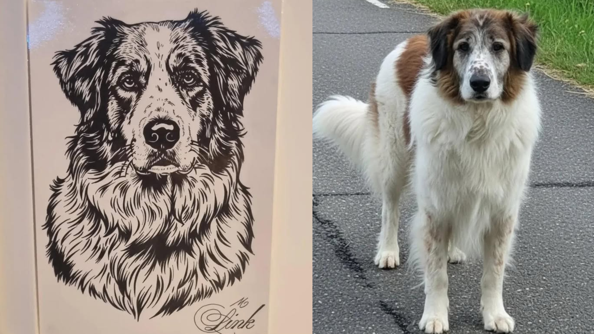 Portrait de vos animaux