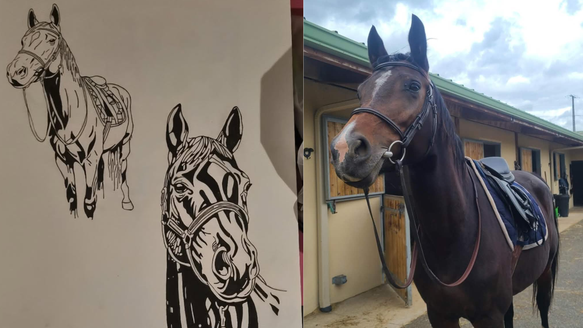 Portrait de vos animaux
